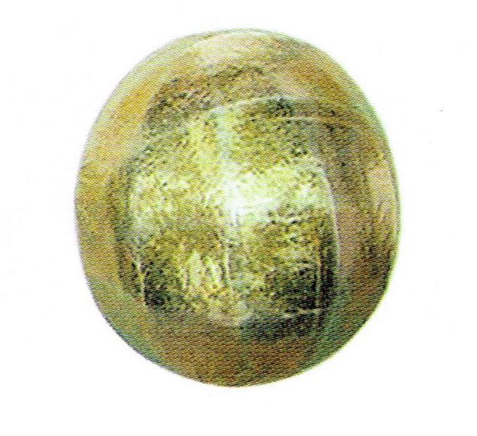 Ball