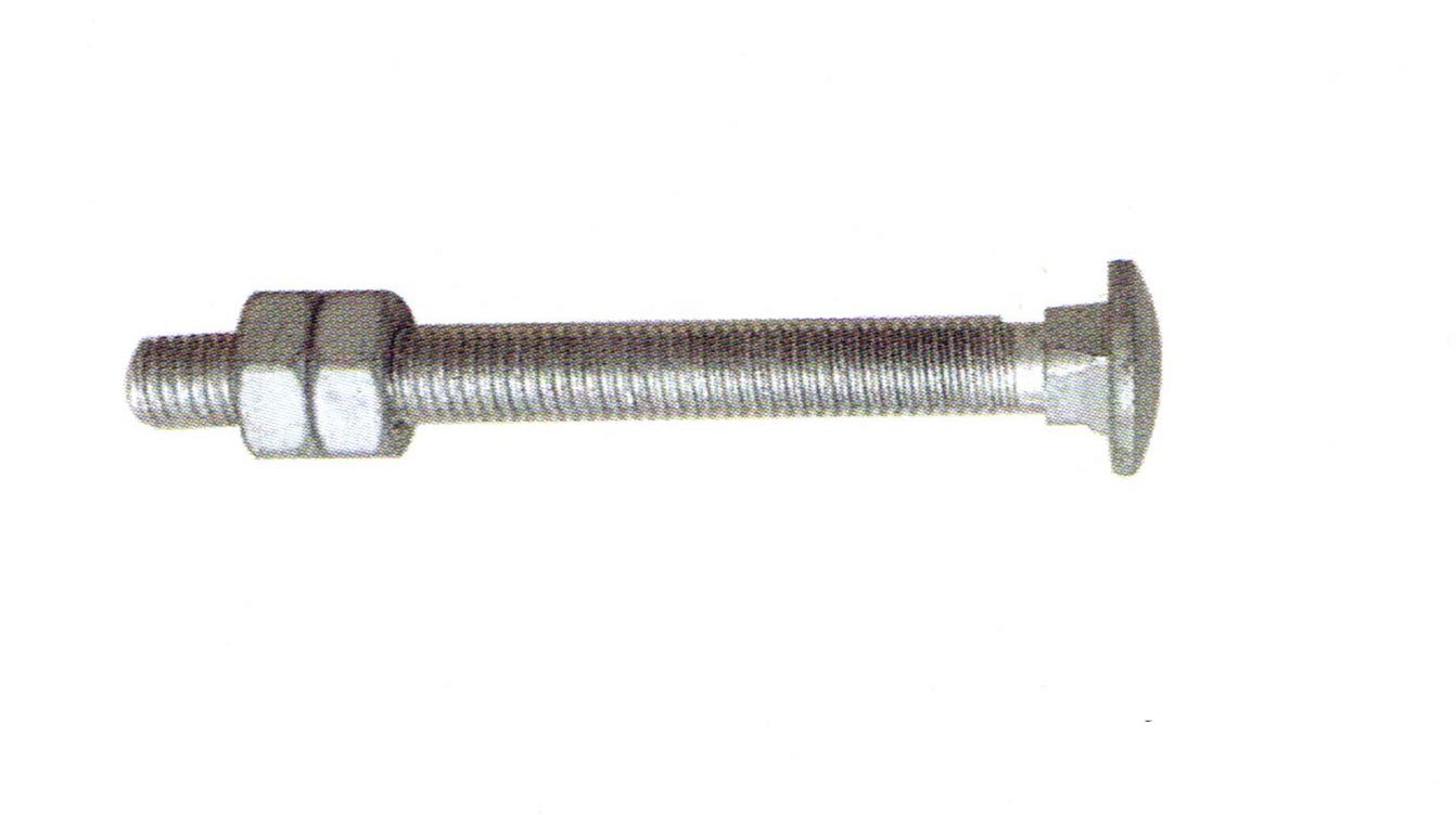 Screw
